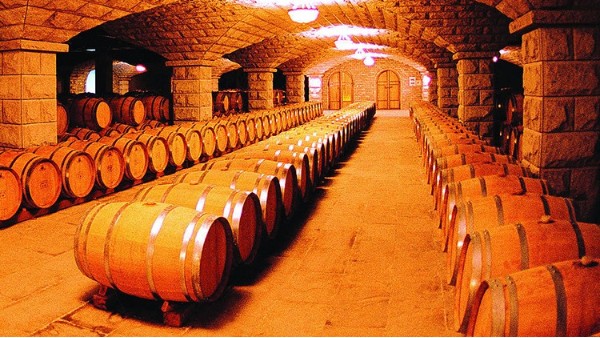 別墅地下室如何建造酒窖